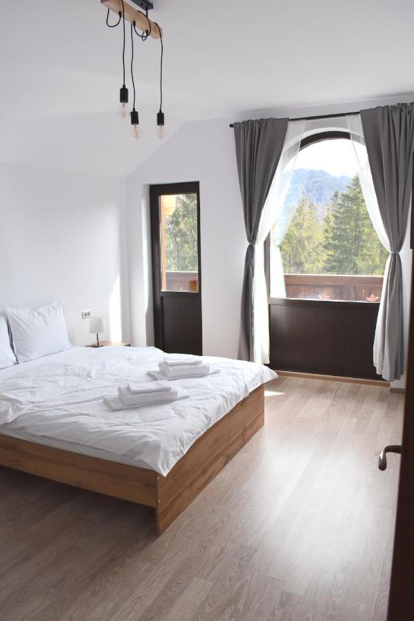 Cosy&Minimalistic Apartments - Haret Building Sinaia Kültér fotó