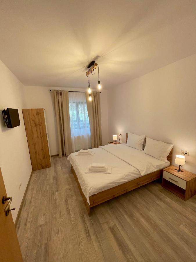 Cosy&Minimalistic Apartments - Haret Building Sinaia Kültér fotó