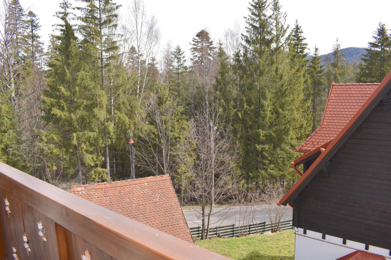 Cosy&Minimalistic Apartments - Haret Building Sinaia Kültér fotó