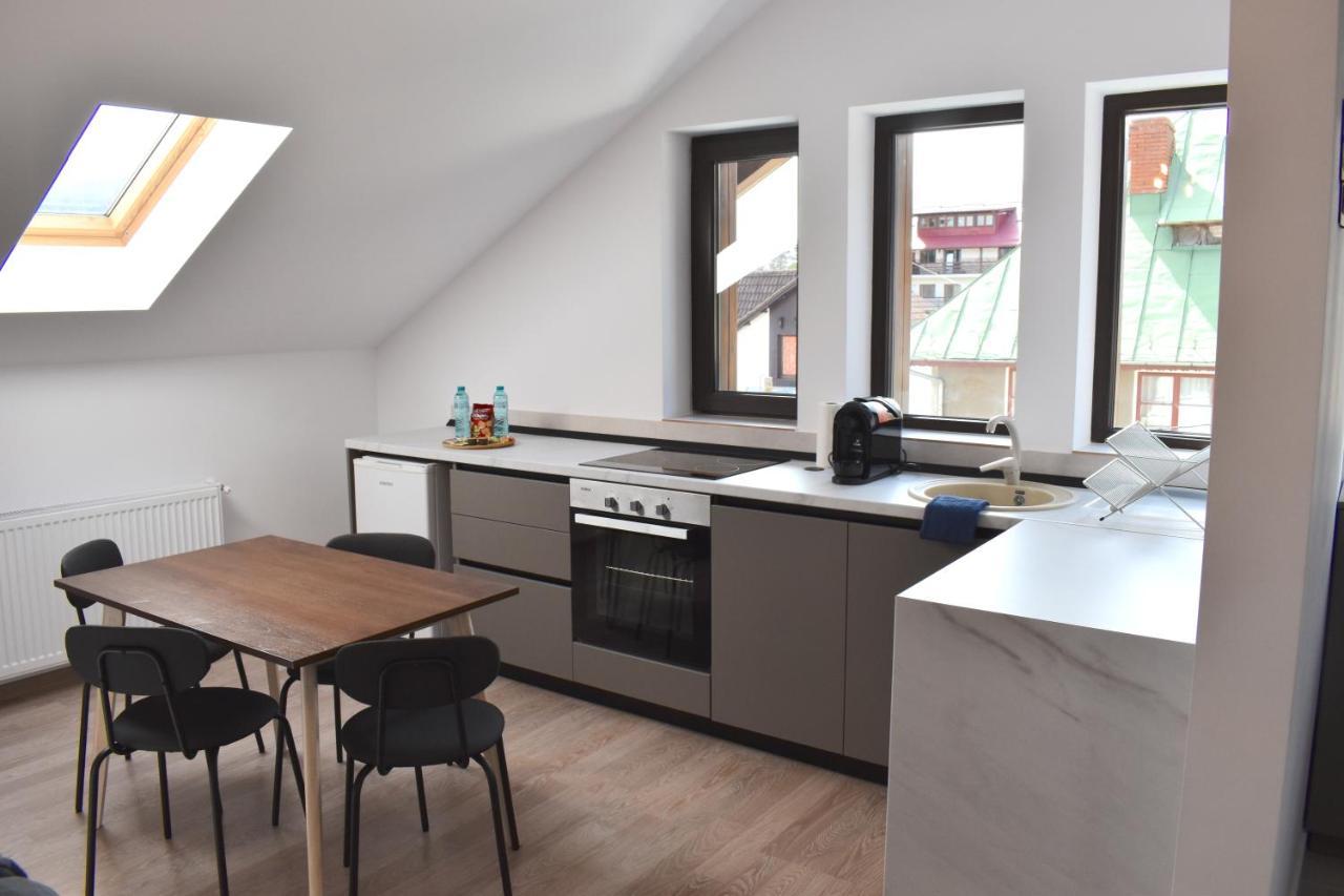 Cosy&Minimalistic Apartments - Haret Building Sinaia Kültér fotó