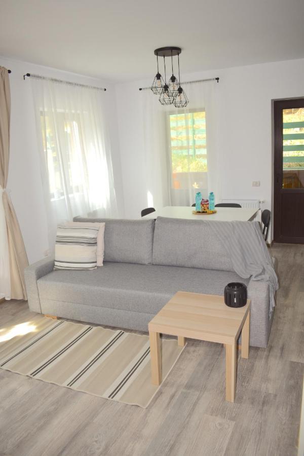 Cosy&Minimalistic Apartments - Haret Building Sinaia Kültér fotó