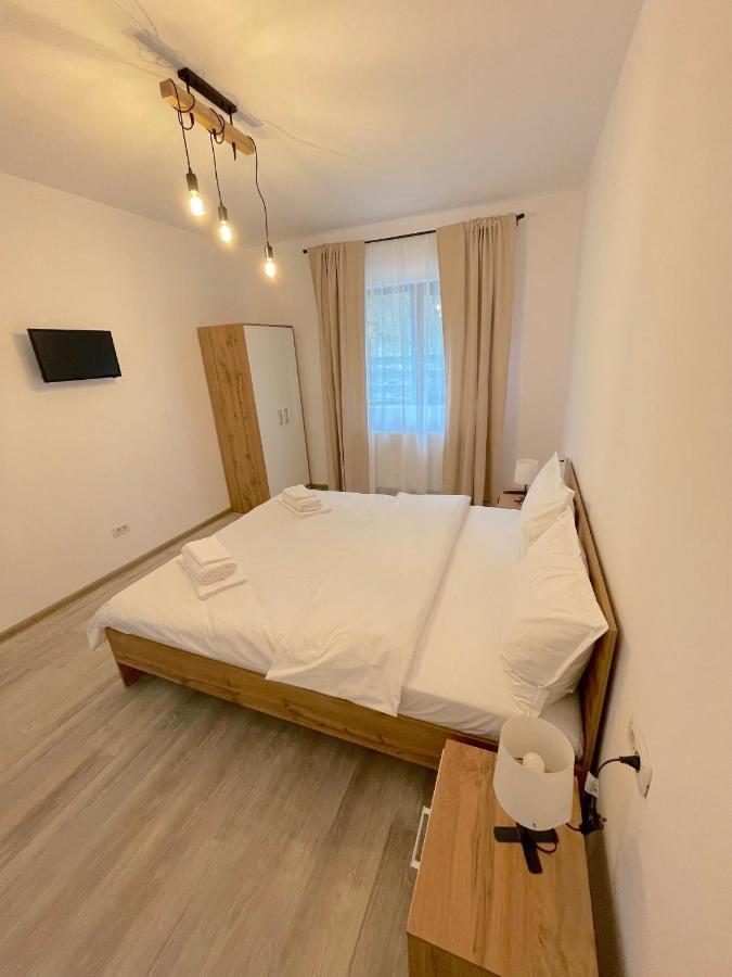 Cosy&Minimalistic Apartments - Haret Building Sinaia Kültér fotó
