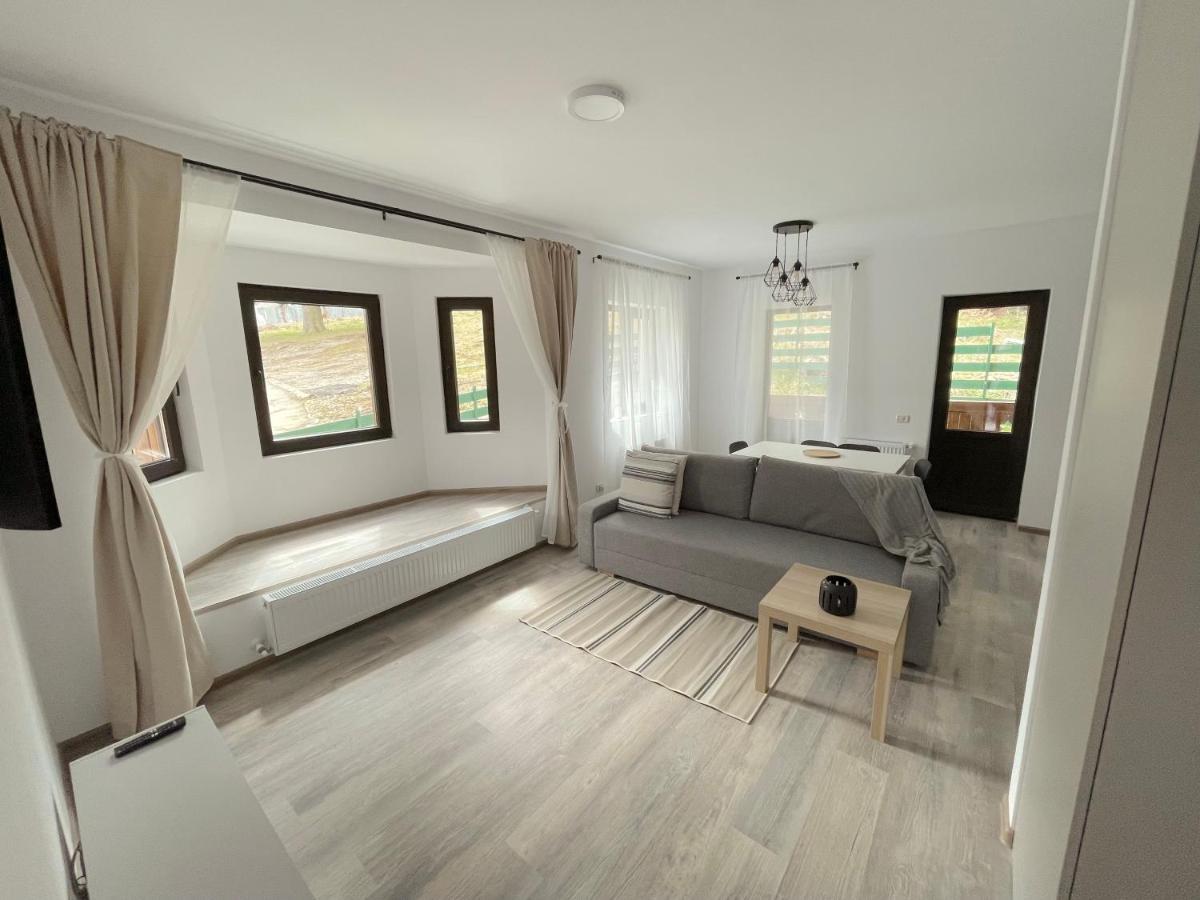 Cosy&Minimalistic Apartments - Haret Building Sinaia Kültér fotó