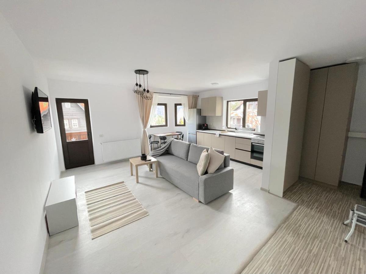 Cosy&Minimalistic Apartments - Haret Building Sinaia Kültér fotó